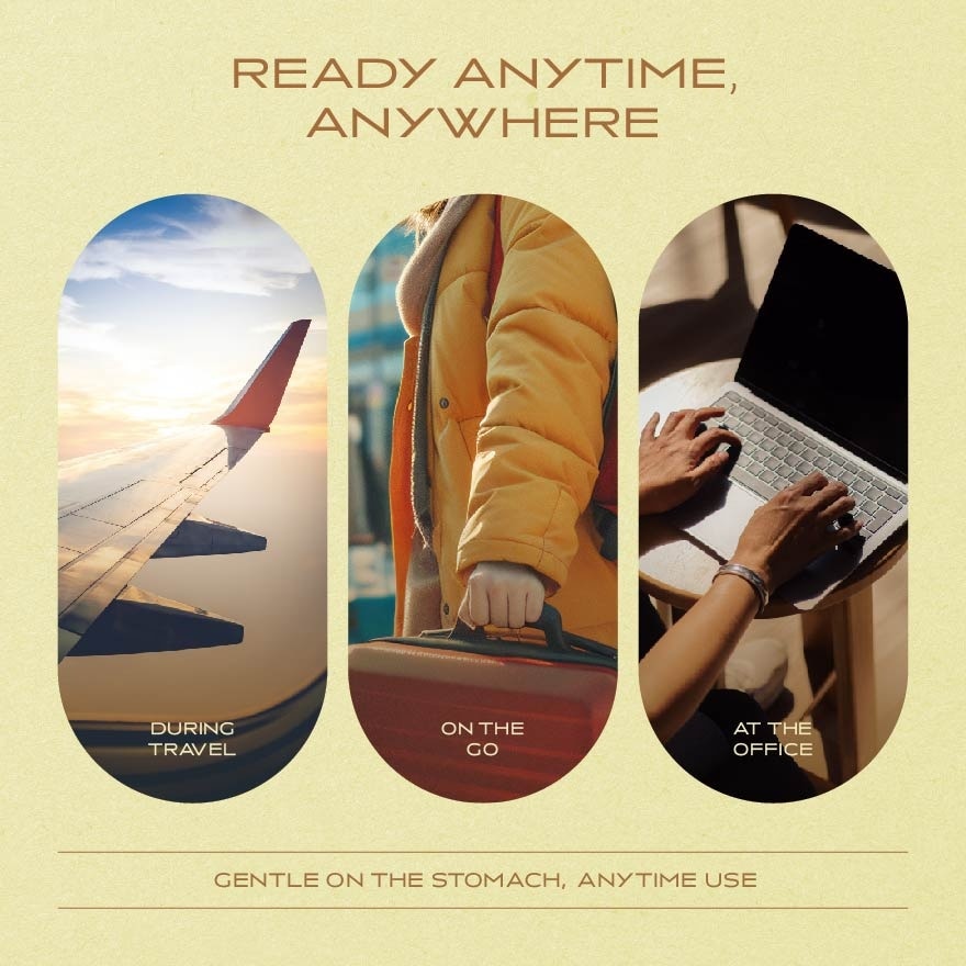 Dr Soy & Peppermint Mixed Fermented Soy With Inulin 4s X 2g