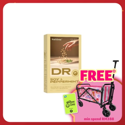 NATTOME Dr Soy & Peppermint Mixed Fermented Soy With Inulin 4s X 2g