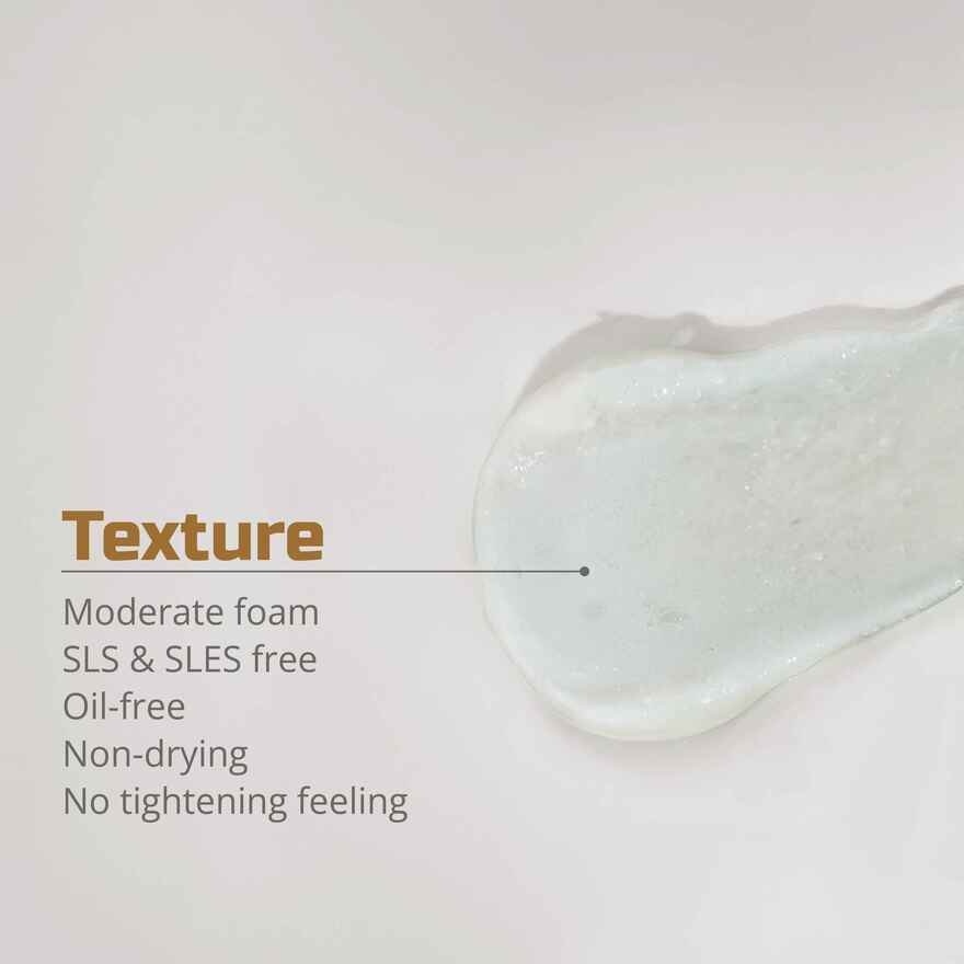 Beauty Mugwort Hydra Bright Gentle Daily Foam Cleanser 100ml