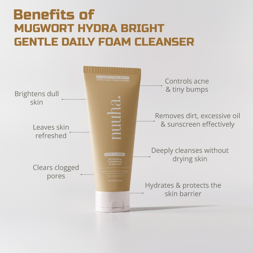 Beauty Mugwort Hydra Bright Gentle Daily Foam Cleanser 100ml