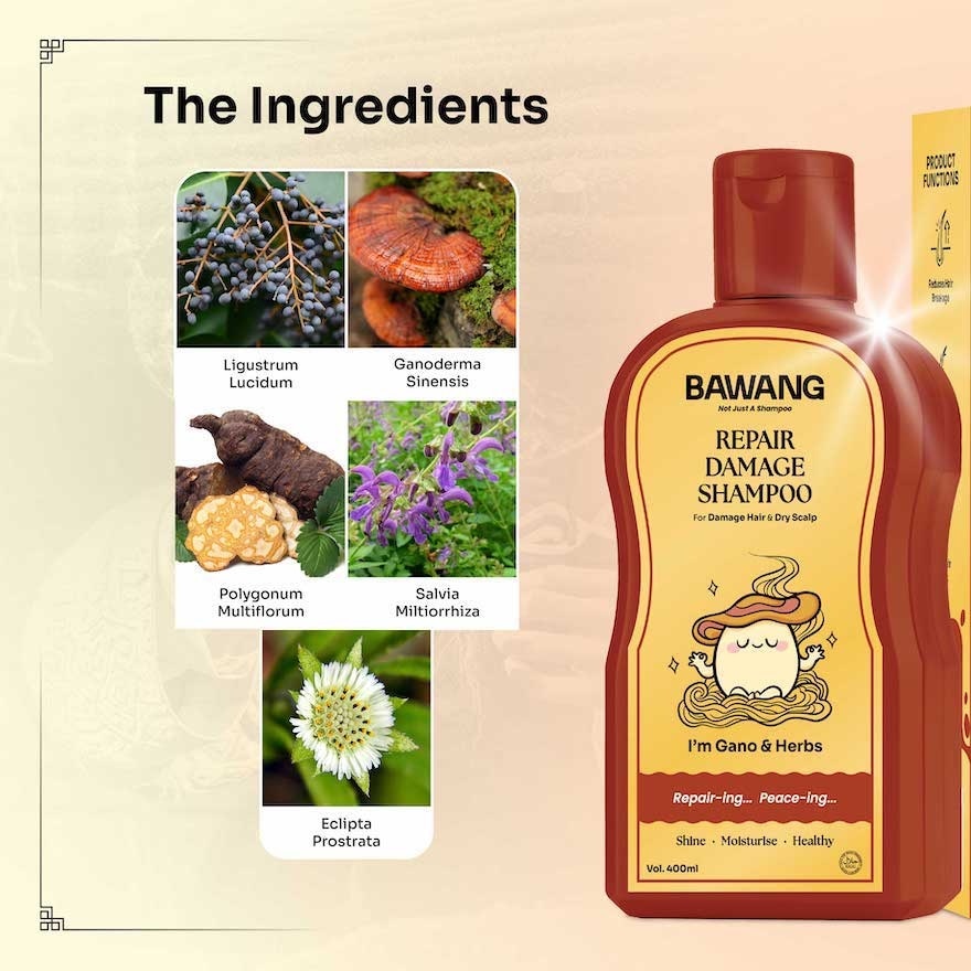 Repair Damage Shampoo 400ml with Chinese Herbal Formulation