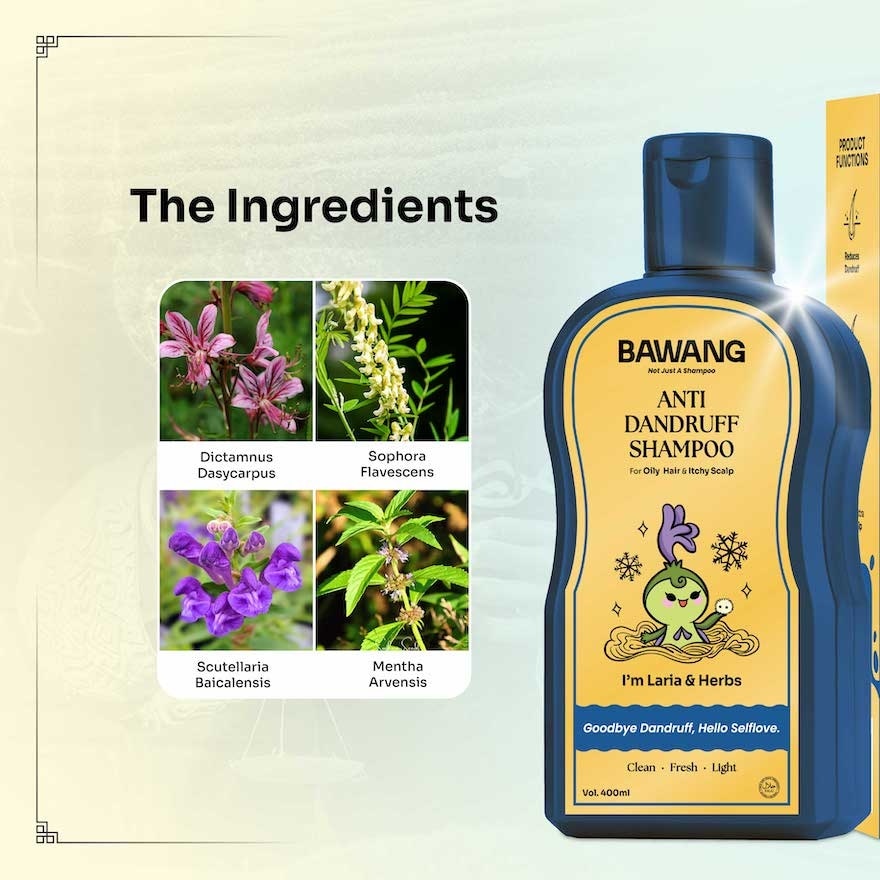 Anti Dandruff Shampoo 400ML with Chinese Herbal Formulation