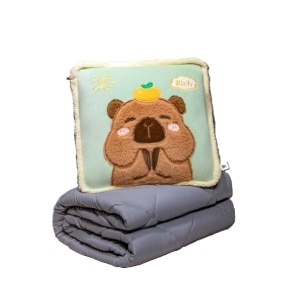GWP 2in1 Blanket Pillow 1s (While Stock Lasts)
