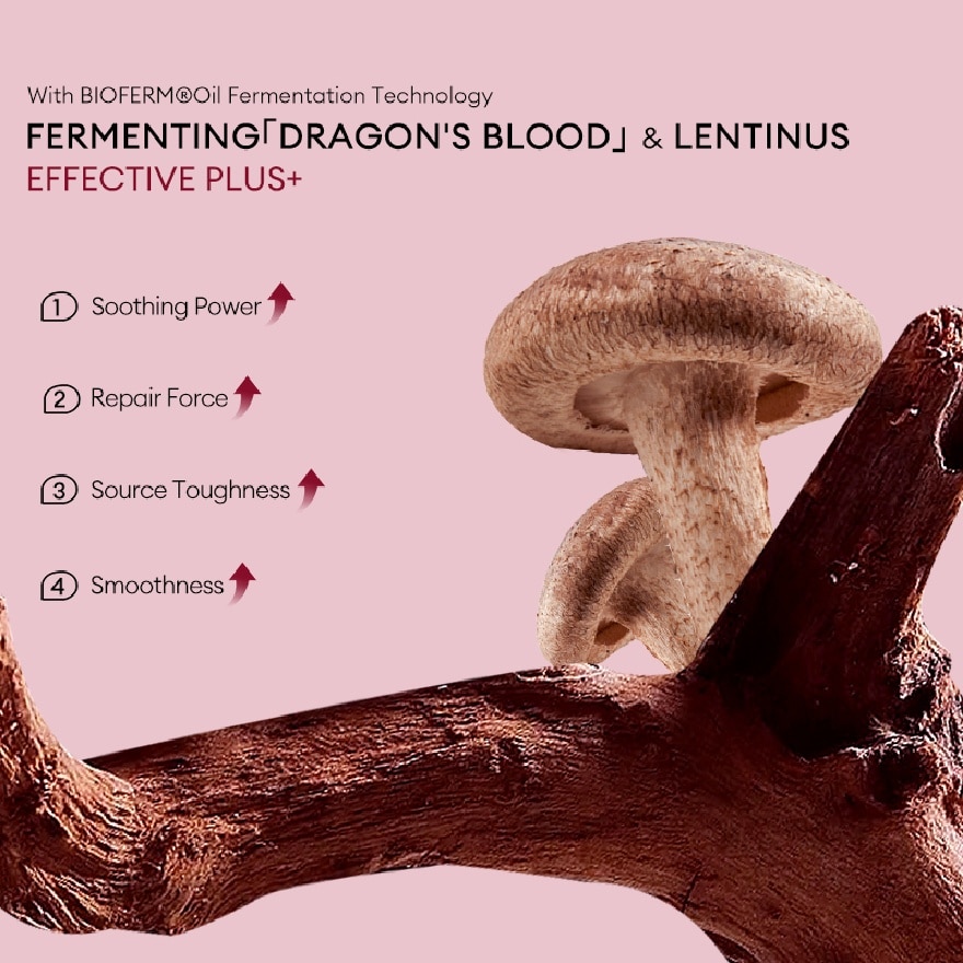Dragon's Blood Lentinus Fermentation Facial Treatment Mask 1s