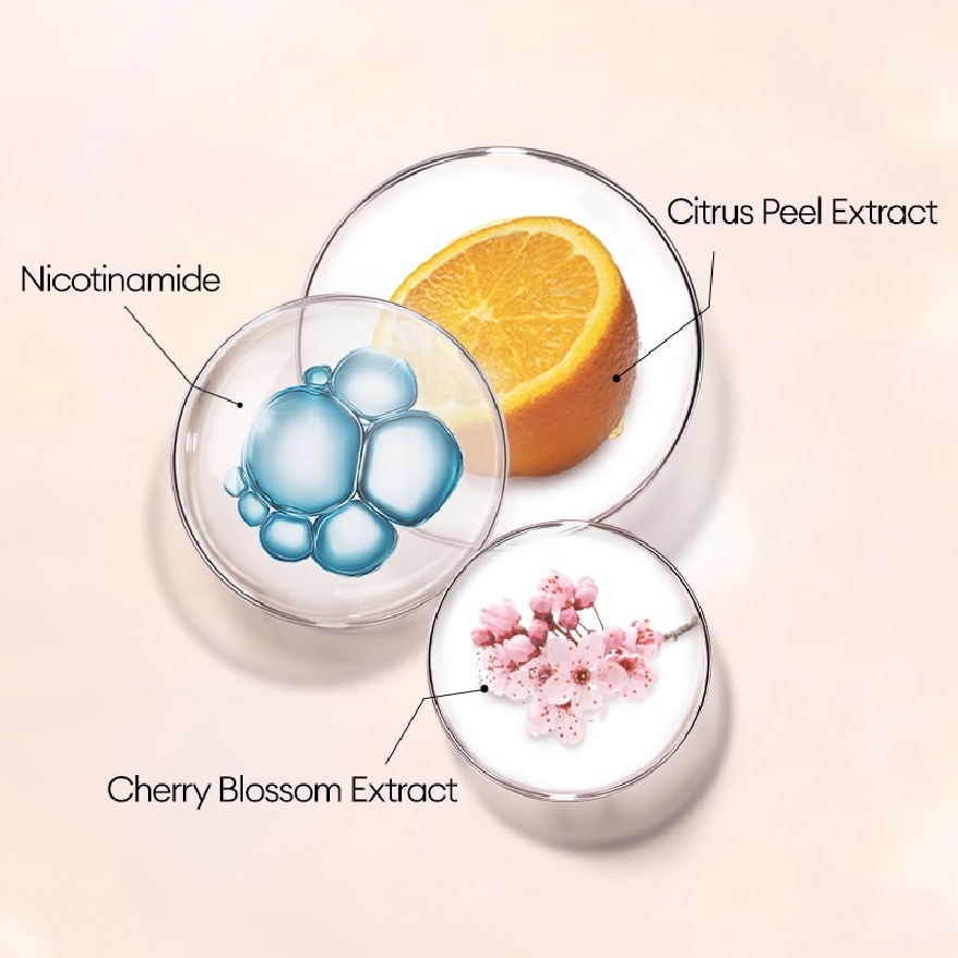 Black Spruce Hydration - Filler Black Mask - Sleeping Beauty 1s