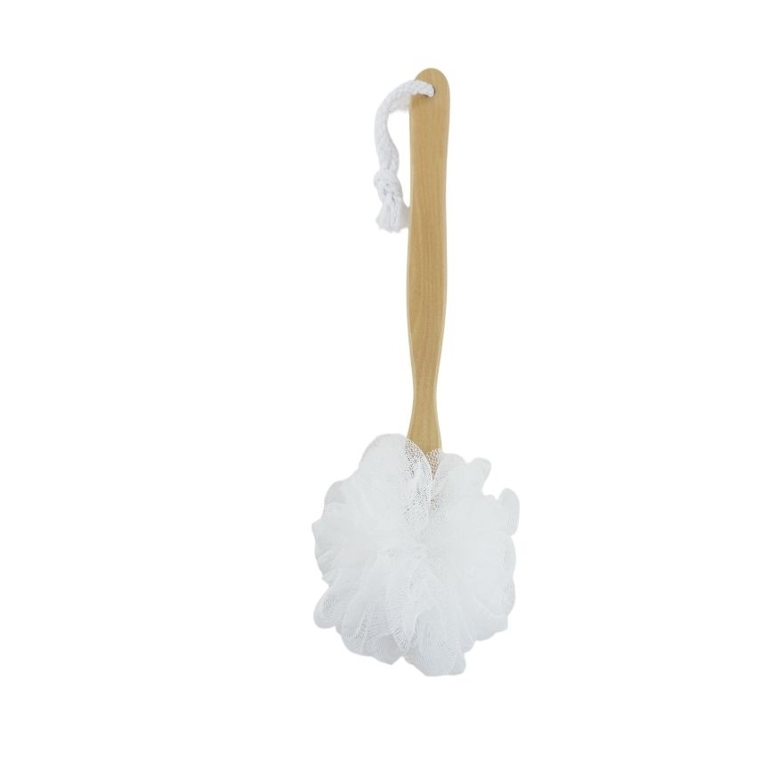 Nylon Sponge Back Brush 1s image