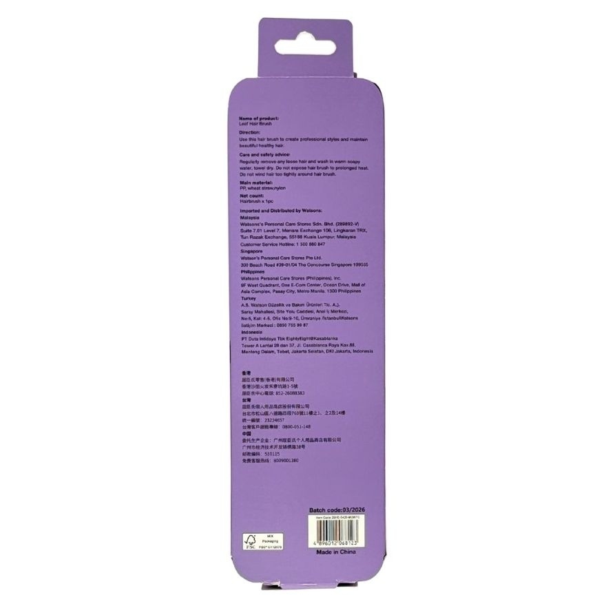Straw Wet & Dry Hairbrush Assorted 1s