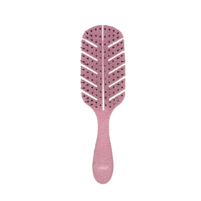 WATSONS - Straw Wet & Dry Hairbrush Assorted 1s