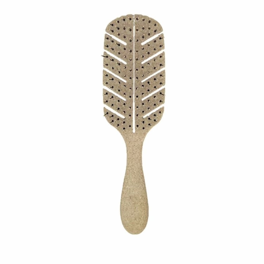 Straw Wet & Dry Hairbrush Assorted 1s