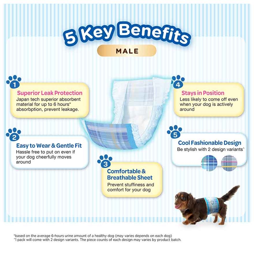 Manner Wear Dog Diaper Male M42 image