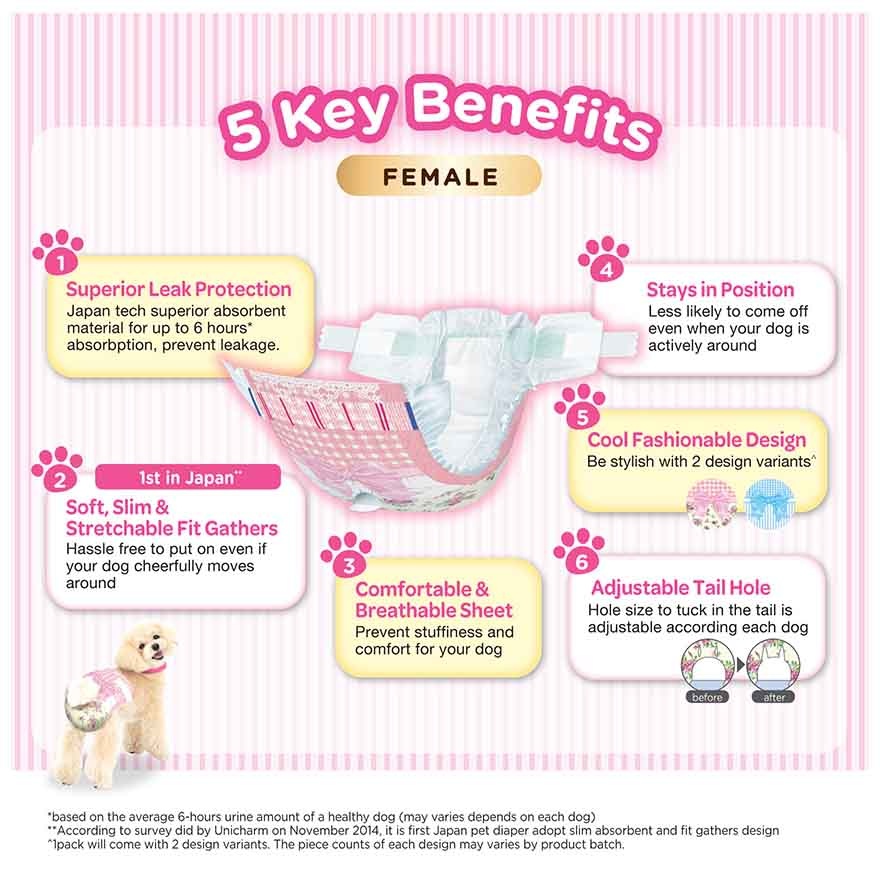 Manner Wear Dog Diaper Female M34 image