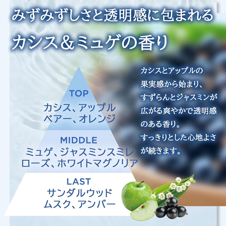 Japan SPA Premium Treatment Flurry Refresh 460ml image