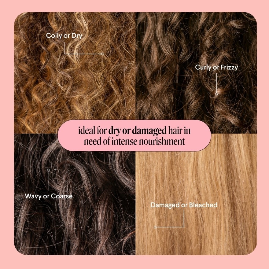 Repair Shampoo 354ml