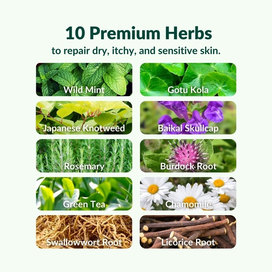 Herbal Skin Repair Cream 50G