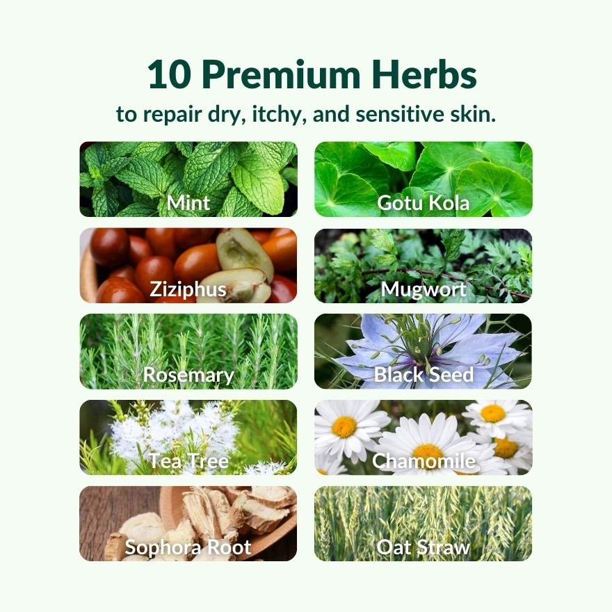 Herbal Body Daily Lotion 350ml