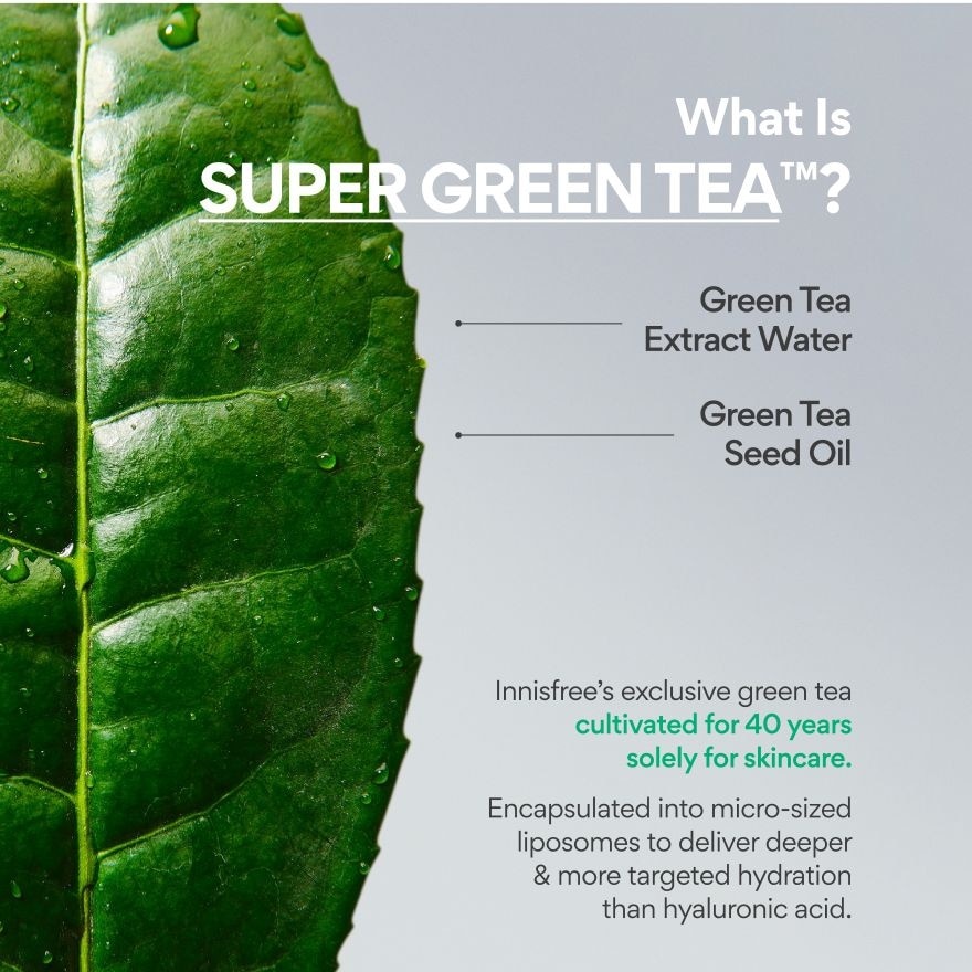 Green Tea Ceramide Cream 50ml