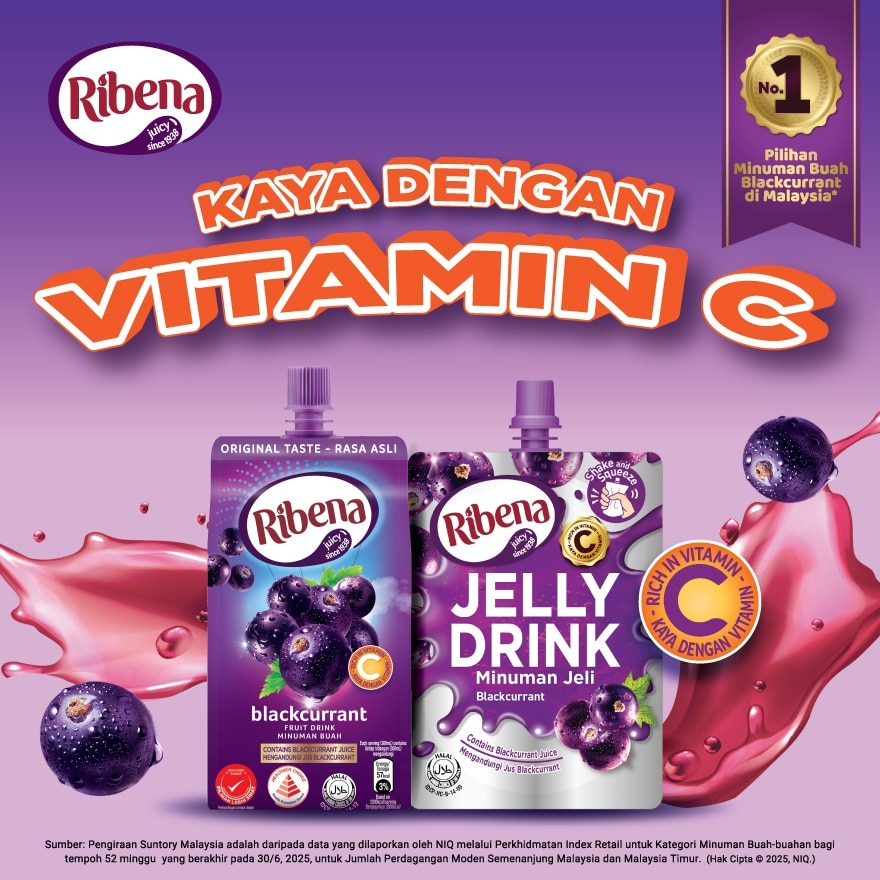 Balik Kampung Pack 4's