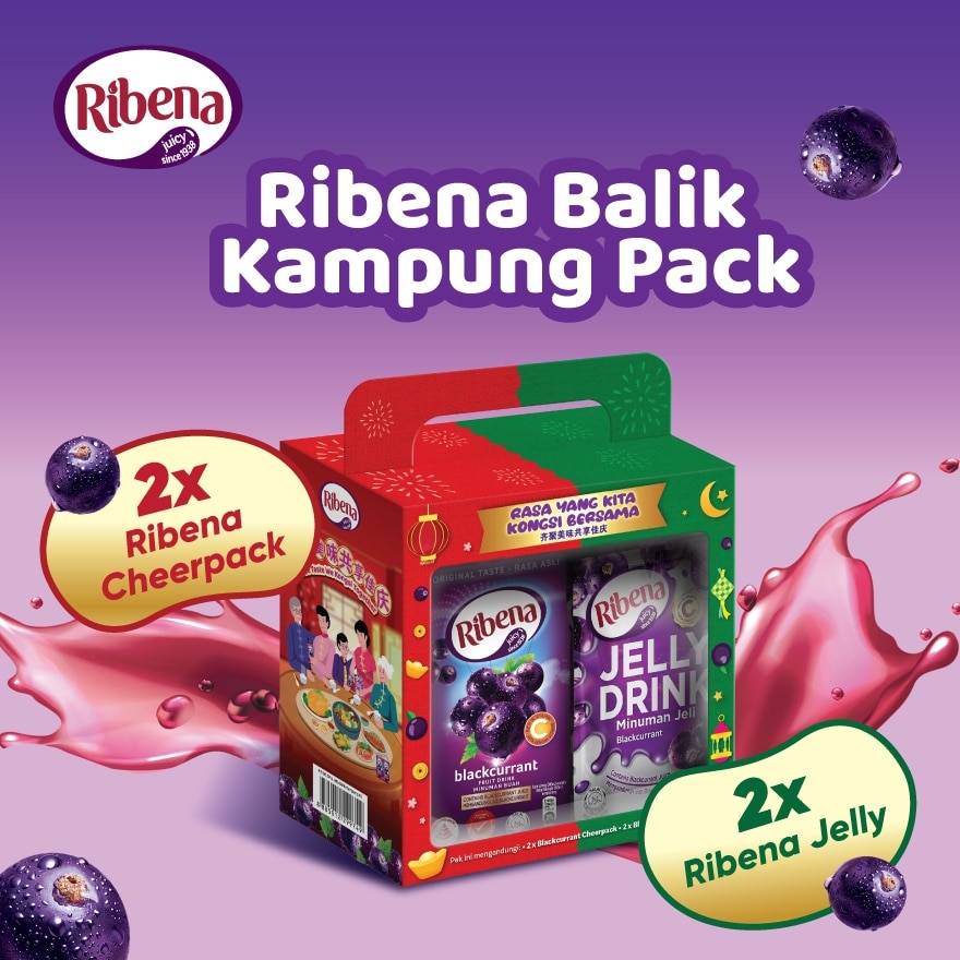 Balik Kampung Pack 4's