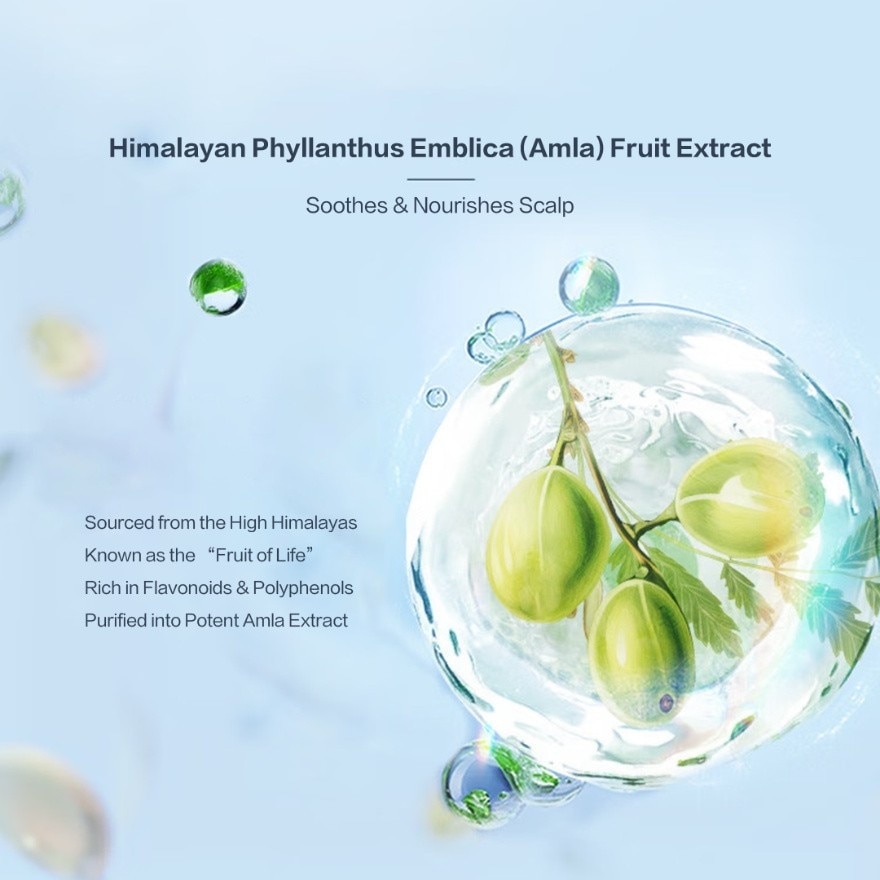 Himalaya Oil Control & Volumizing Shampoo 600g