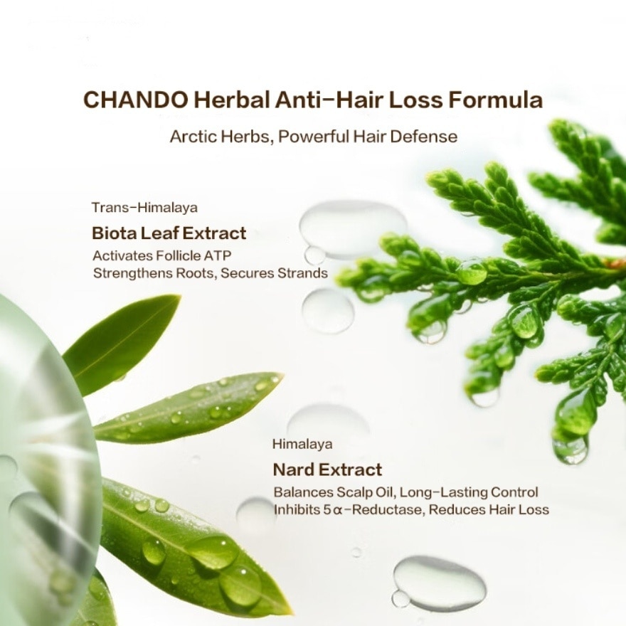 Himalaya Anti-Hair Loss & Strengthening Shampoo 600g