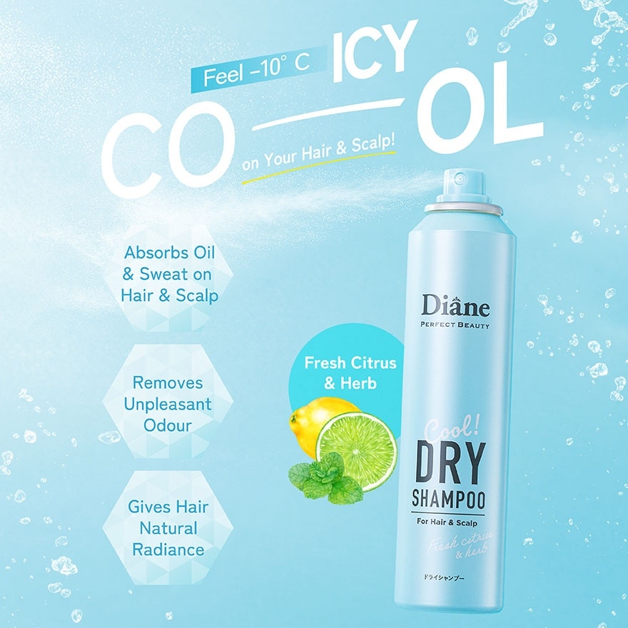 Perfect Beauty Dry Shampoo Cool Fresh Citrus & Herb 95g