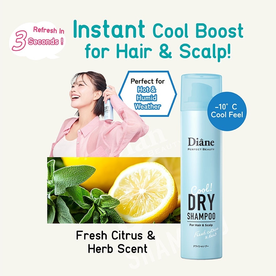 Perfect Beauty Dry Shampoo Cool Fresh Citrus & Herb 95g