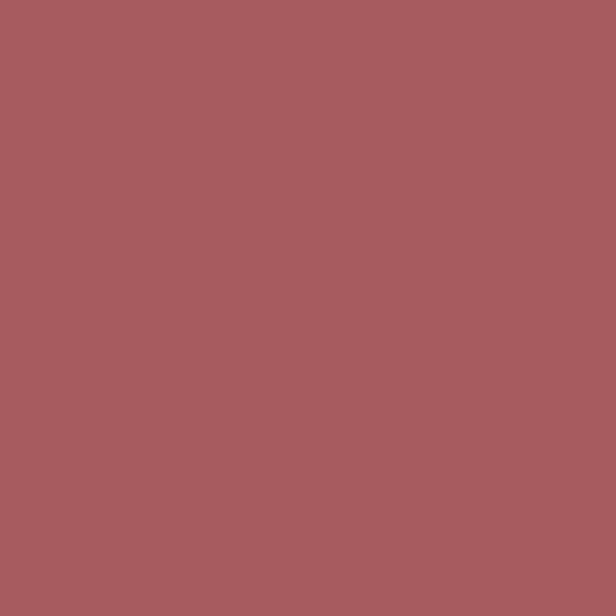 Color Perfection Lipliner 12