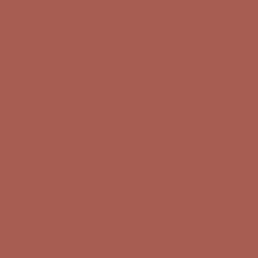 Color Perfection Lipliner 17