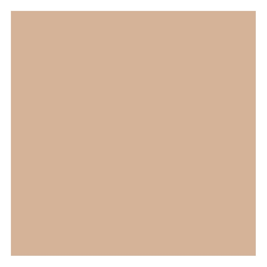 Mineral Mattifying Powder 20