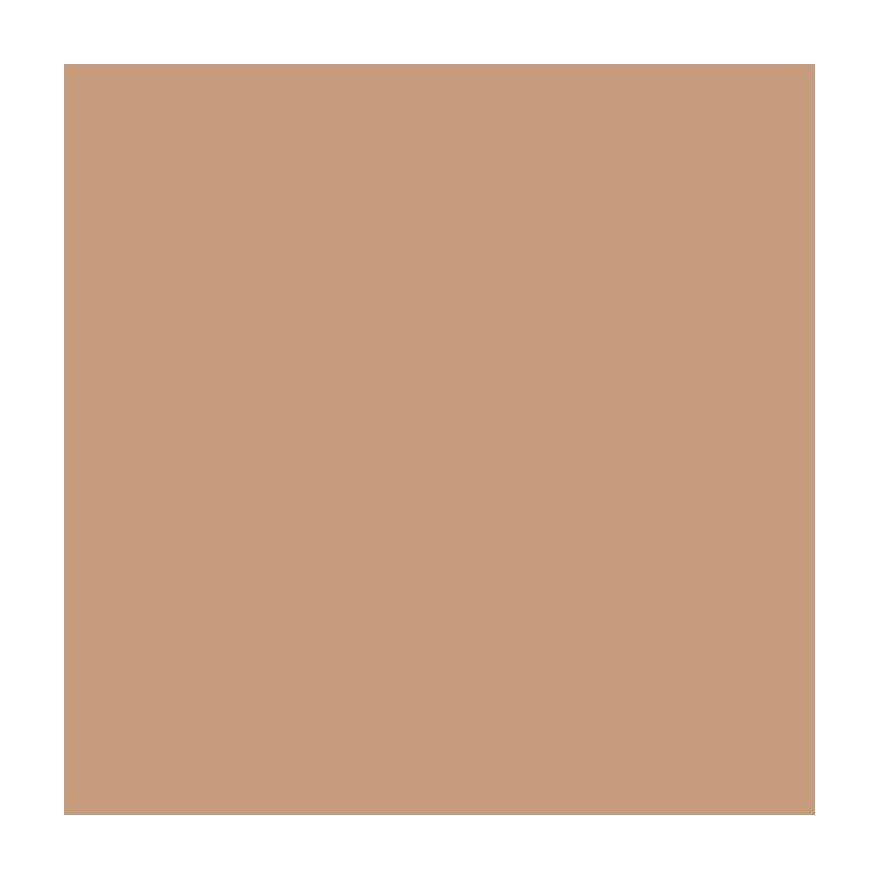 Mineral Mattifying Powder 30