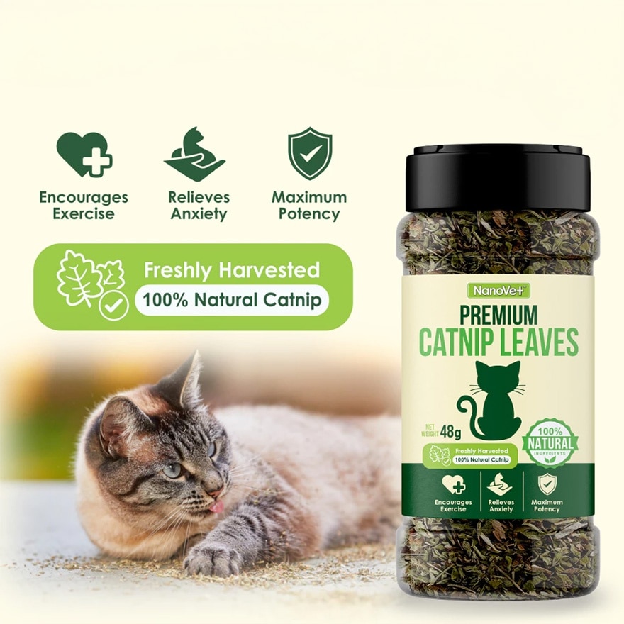 Catnip Leaves 48GM
