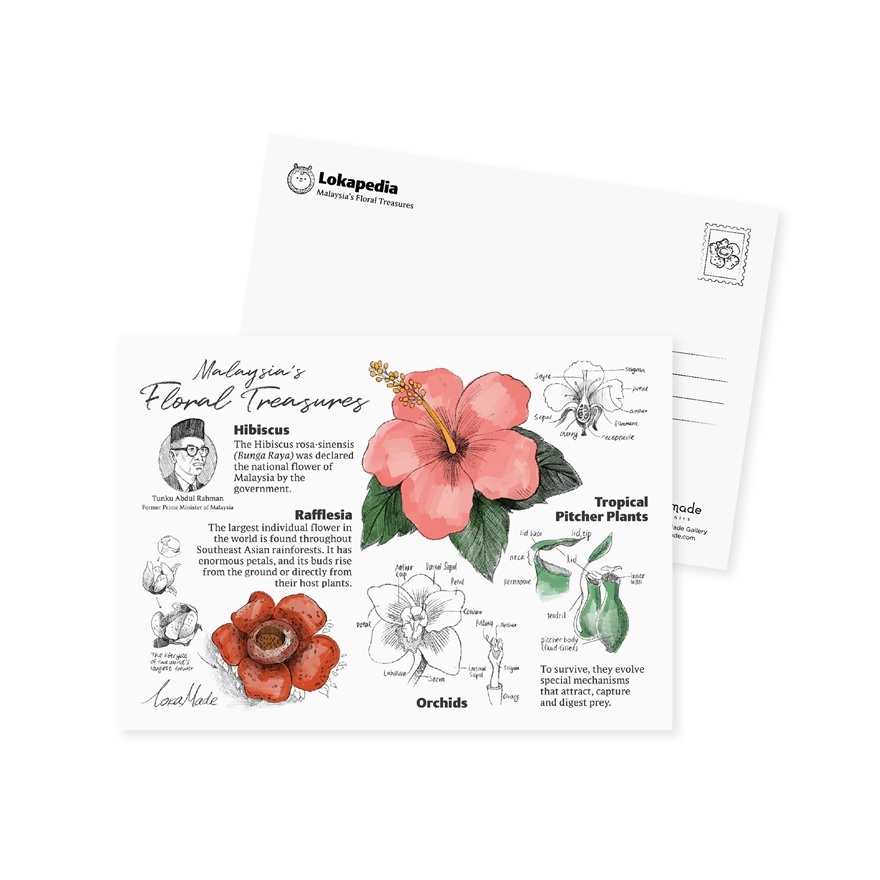Lokapedia Postcard: Malaysia's Floral Treasures MSP138 1S image