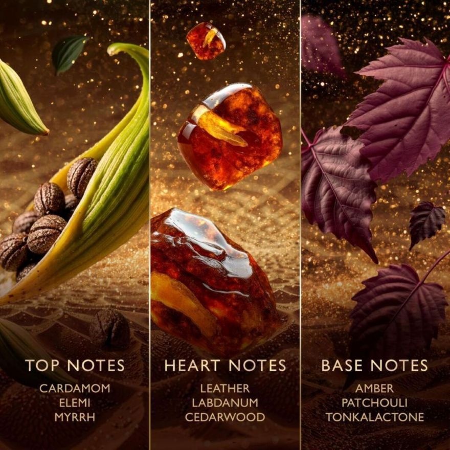 Collection Amberwood Nomad EDP 100ml