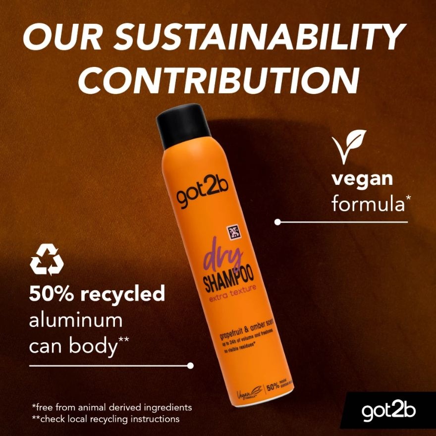 Got2b Dry Shampoo Extra Texture 200ml