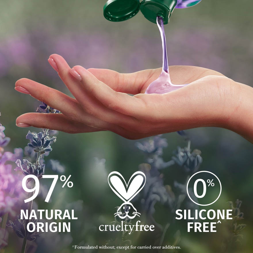 Calm Frizz Lavender Shampoo 400ml