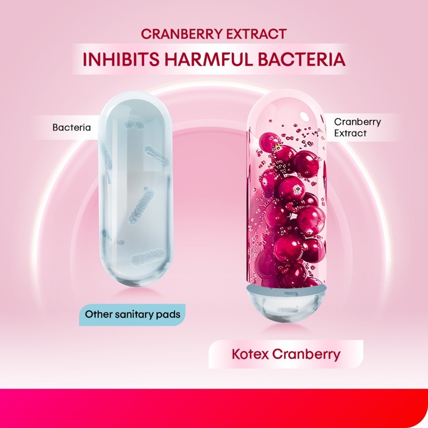 Cranberry Ultrathin Night Sanitary Pad Wing 42cm 2 x 5's - Antioxidant & Anti-inflammation image