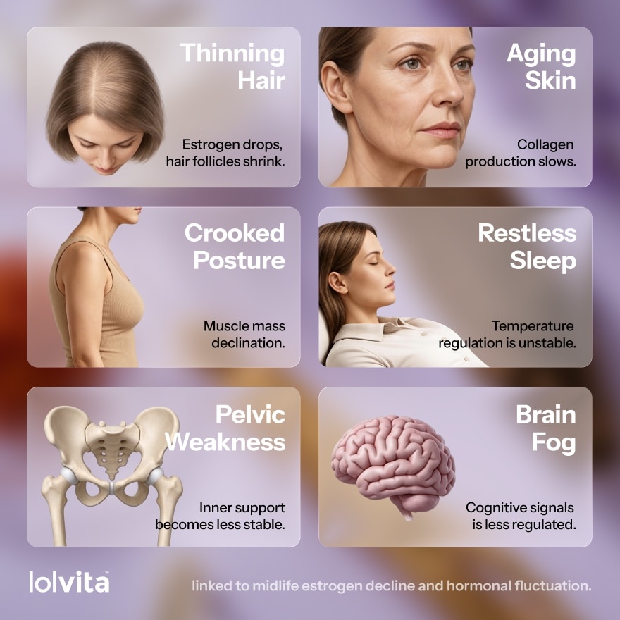 Lolvita 60s image