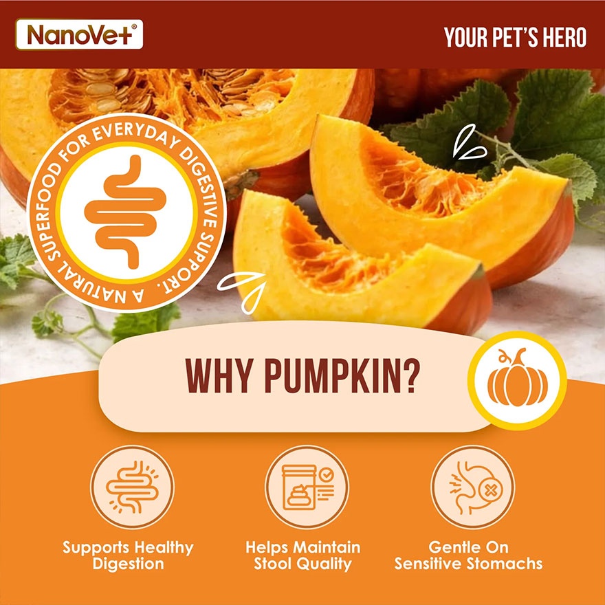Kibble Topper Chicken Flakes + Pumpkin 70g image