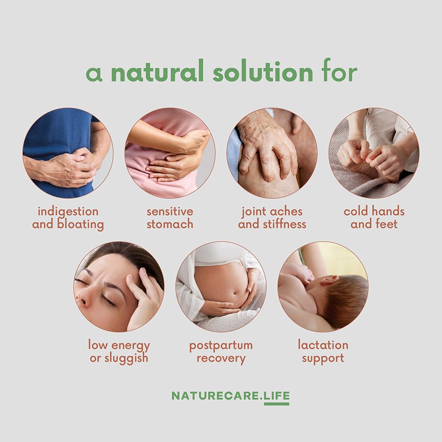 Gingerlait Nut Free, Soy Free, Dairy Free Ginger Milk 240g image