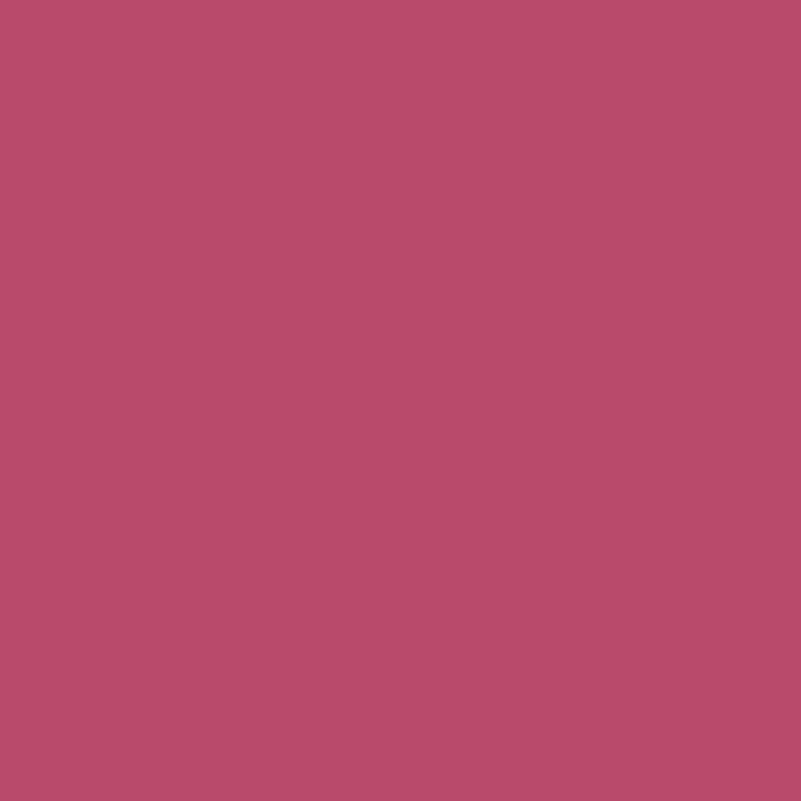 Studio Star Velvet Lipstick 55 image