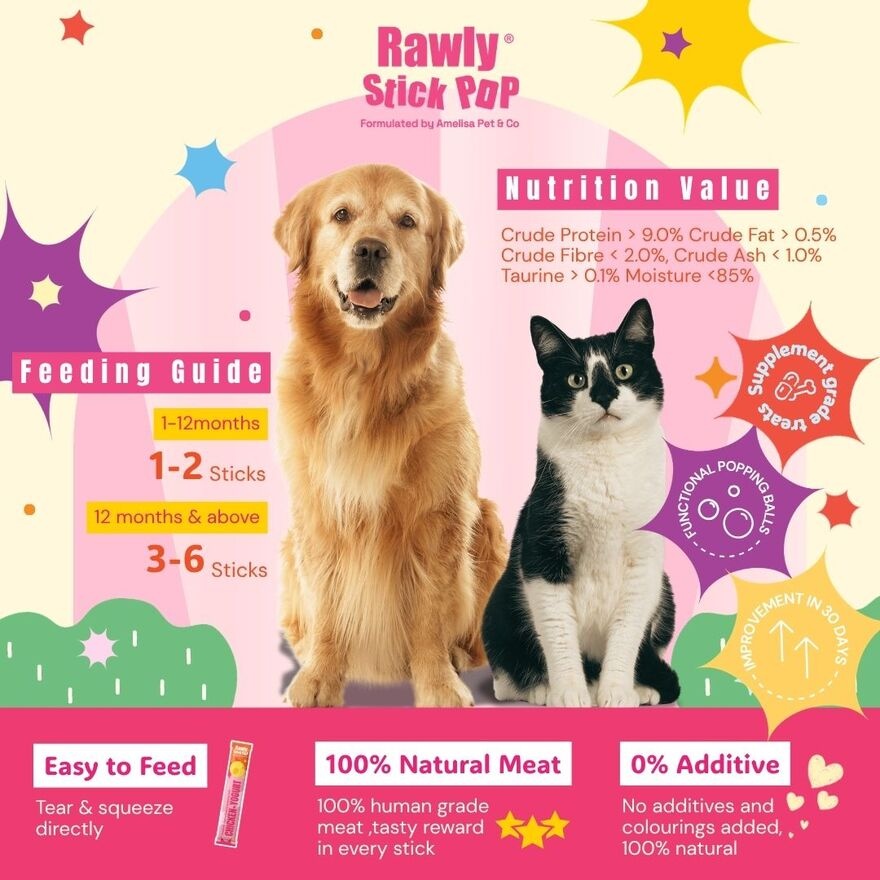 Rawly Stick Pop Chicken + Yogurt 4s image