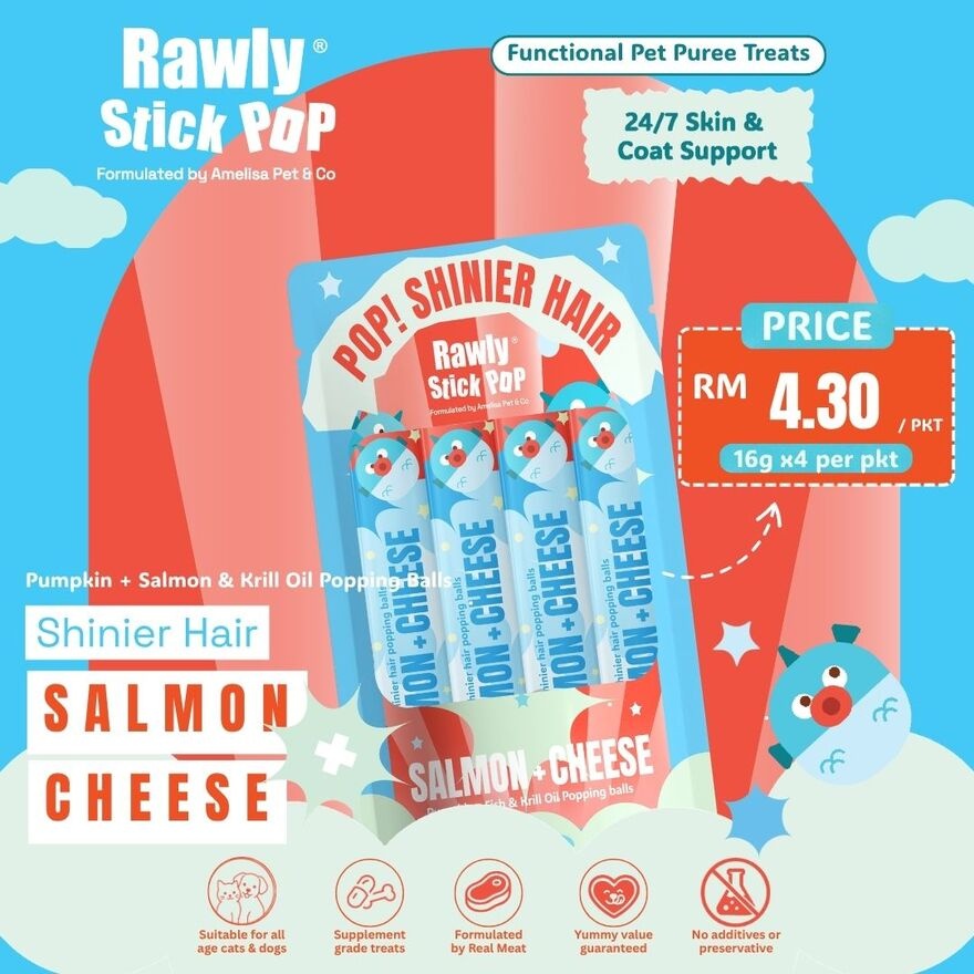 Rawly Stick Pop Salmon + Cheese 4s image