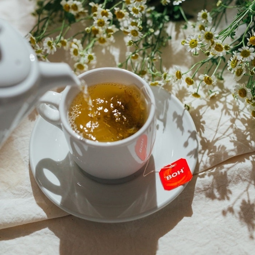 Camomile Teabag Sachet 25 x 1.4g image