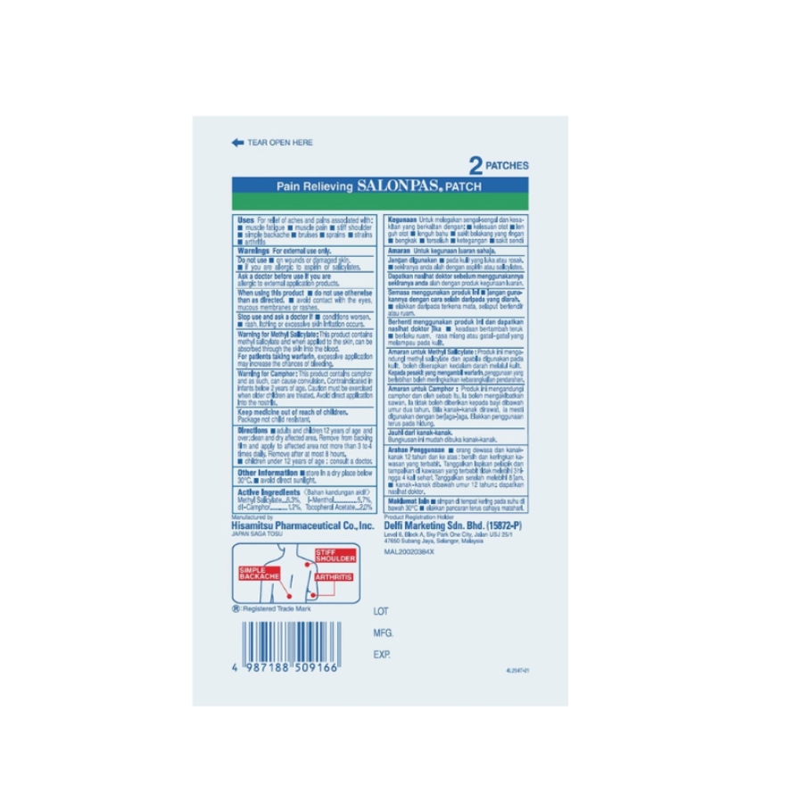 Pain Relieving Patch Large Size 2s image