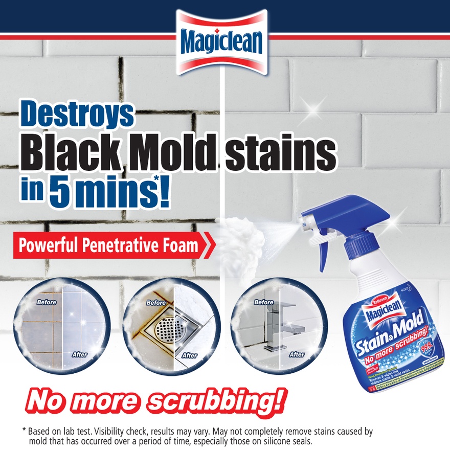 Stain & Mold Remover 400ml image