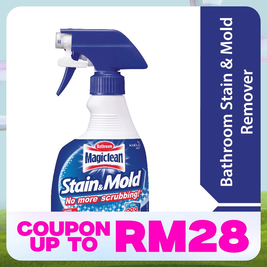 Stain & Mold Remover 400ml