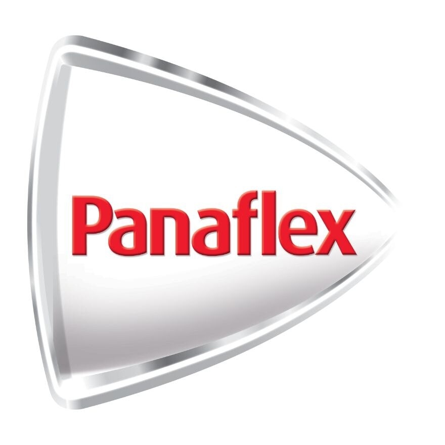 Panaflex Pain Relief Patch-Muscle & Joint Pain 2s