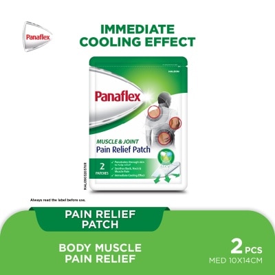 PANAFLEX - Panaflex Pain Relief Patch-Muscle & Joint Pain 2s