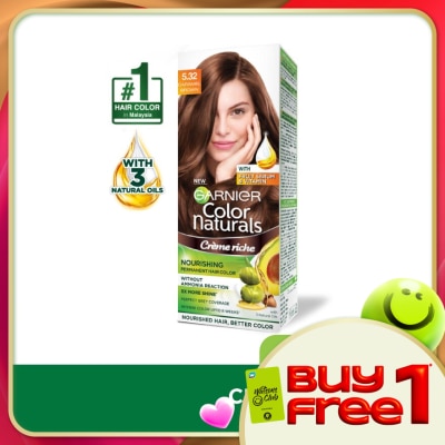 GARNIER HAIR COLOR - Color Naturals 5.32 Caramel Brown 1's
