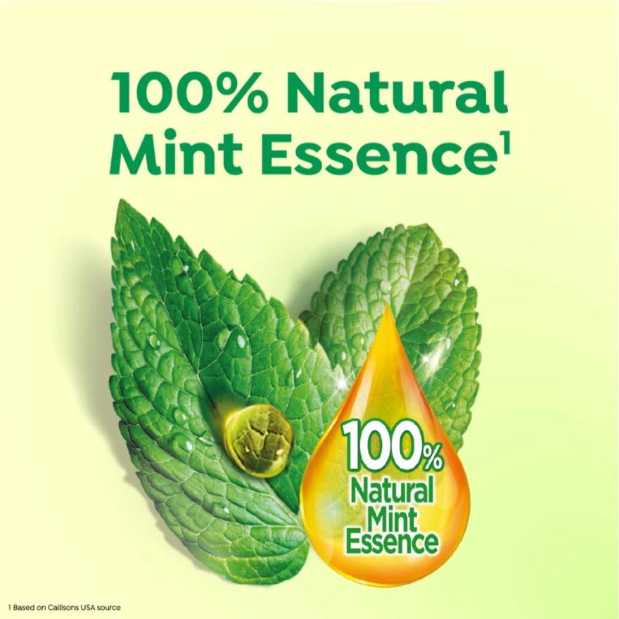 Double Action Enamal Protect Strong Mint 2x200g image